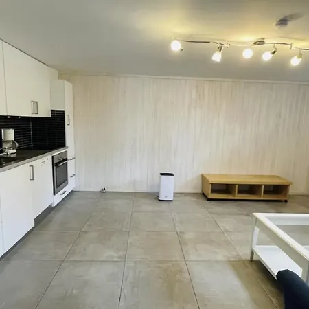 One Bedroom In Honefoss Apartament